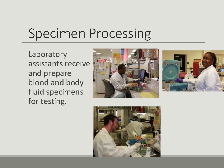 Specimen Processing Laboratory assistants receive and prepare blood and body fluid specimens for testing.