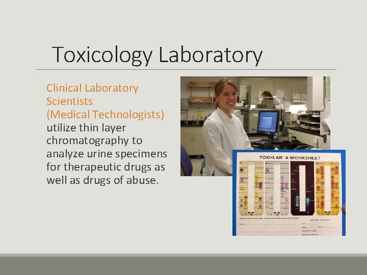 Toxicology Laboratory Clinical Laboratory Scientists (Medical Technologists) utilize thin layer chromatography to analyze urine