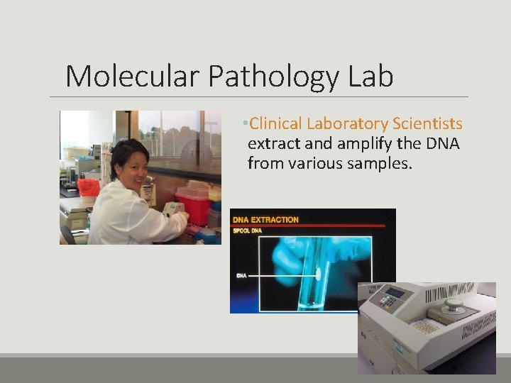 Molecular Pathology Lab • Clinical Laboratory Scientists extract and amplify the DNA from various