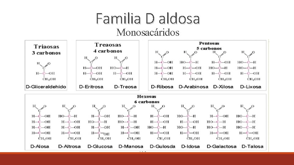 Familia D aldosa Monosacáridos 