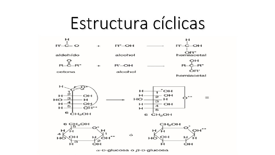 Estructura cíclicas 