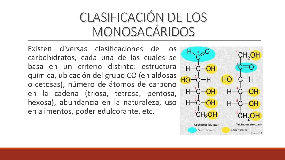 CLASIFICACIÓN DE LOS MONOSACÁRIDOS Existen diversas clasificaciones de los carbohidratos, cada una de las