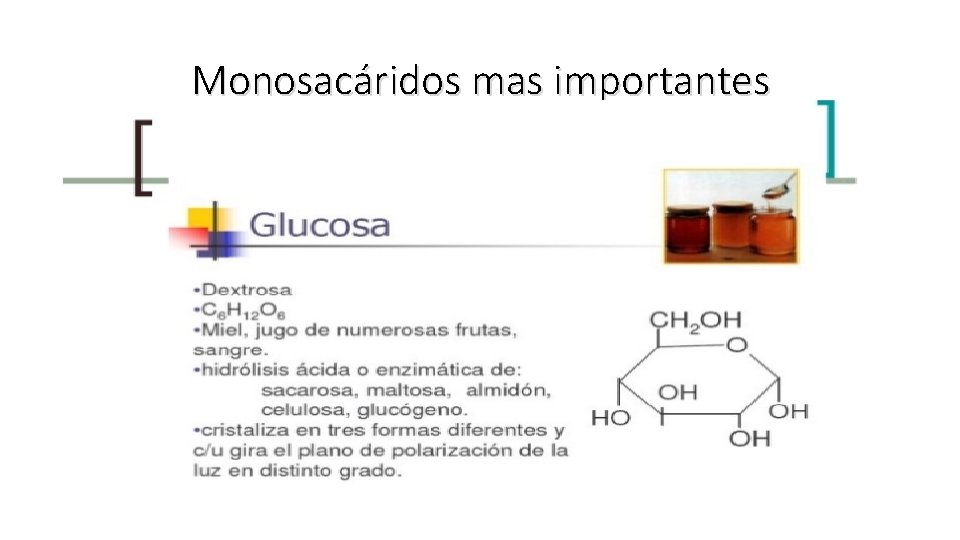 Monosacáridos mas importantes 