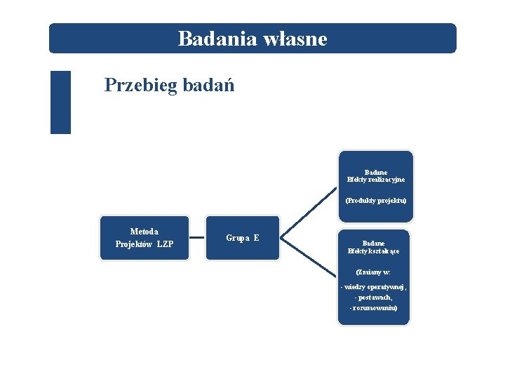 Badania własne Przebieg badań Badane Efekty realizacyjne (Produkty projektu) Metoda Projektów LZP Grupa E