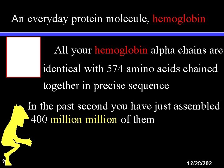 An everyday protein molecule, hemoglobin All your hemoglobin alpha chains are identical with 574