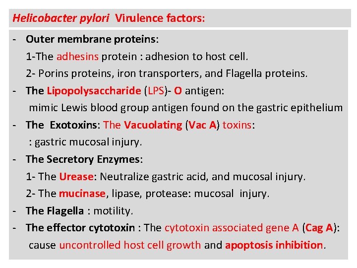 Helicobacter pylori Virulence factors: - Outer membrane proteins: 1 -The adhesins protein : adhesion