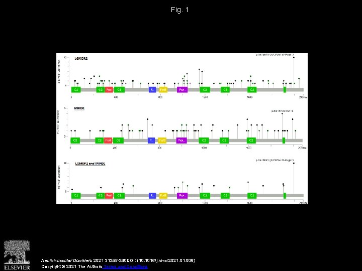 Fig. 1 Neuromuscular Disorders 2021 31265 -280 DOI: (10. 1016/j. nmd. 2021. 009) Copyright