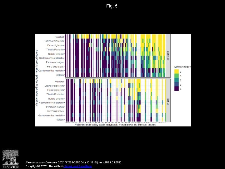 Fig. 5 Neuromuscular Disorders 2021 31265 -280 DOI: (10. 1016/j. nmd. 2021. 009) Copyright