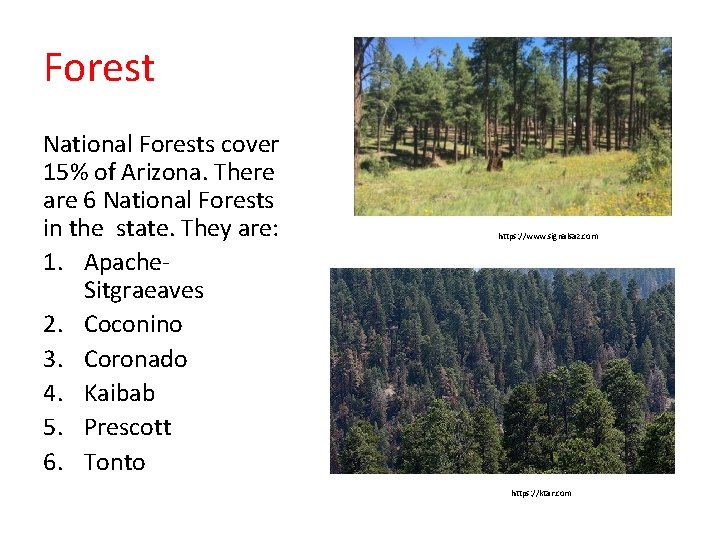 Forest National Forests cover 15% of Arizona. There are 6 National Forests in the