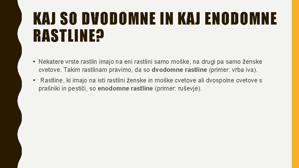 KAJ SO DVODOMNE IN KAJ ENODOMNE RASTLINE? • Nekatere vrste rastlin imajo na eni