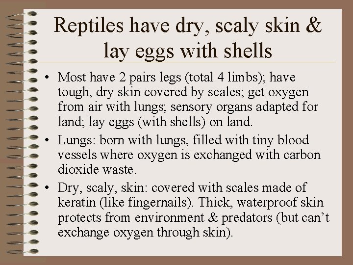 Reptiles have dry, scaly skin & lay eggs with shells • Most have 2