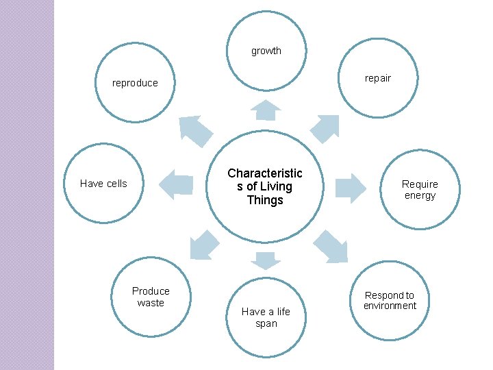 growth repair reproduce Characteristic s of Living Things Have cells Produce waste Have a