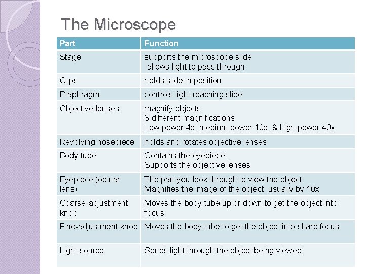 The Microscope Part Function Stage supports the microscope slide allows light to pass through
