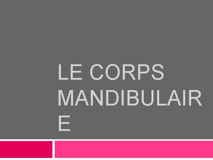 LE CORPS MANDIBULAIR E LE CORPS MANDIBULAIR E