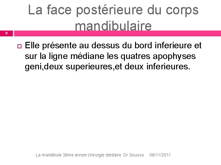 La face postérieure du corps mandibulaire 9 Elle présente au dessus du bord inferieure La face postérieure du corps mandibulaire 9 Elle présente au dessus du bord inferieure