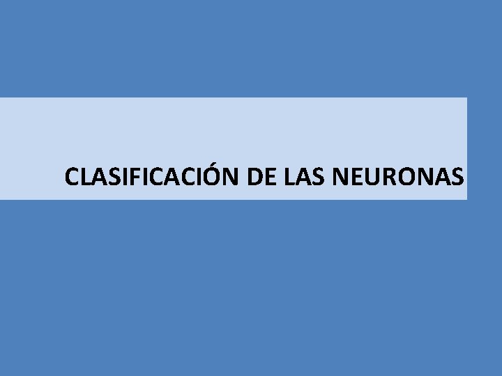 CLASIFICACIÓN DE LAS NEURONAS 
