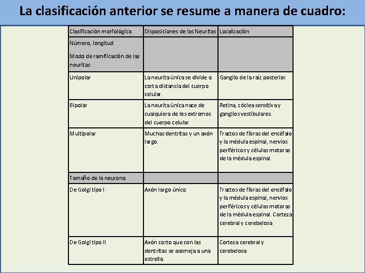 La clasificación anterior se resume a manera de cuadro: Clasificación morfológica Disposiciones de las