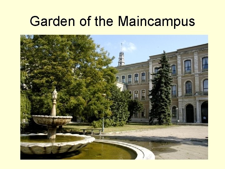 Garden of the Maincampus 