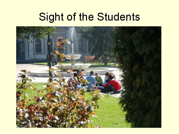 Sight of the Students 