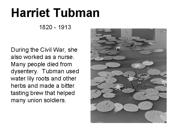 Harriet Tubman 1820 - 1913 During the Civil War, she also worked as a