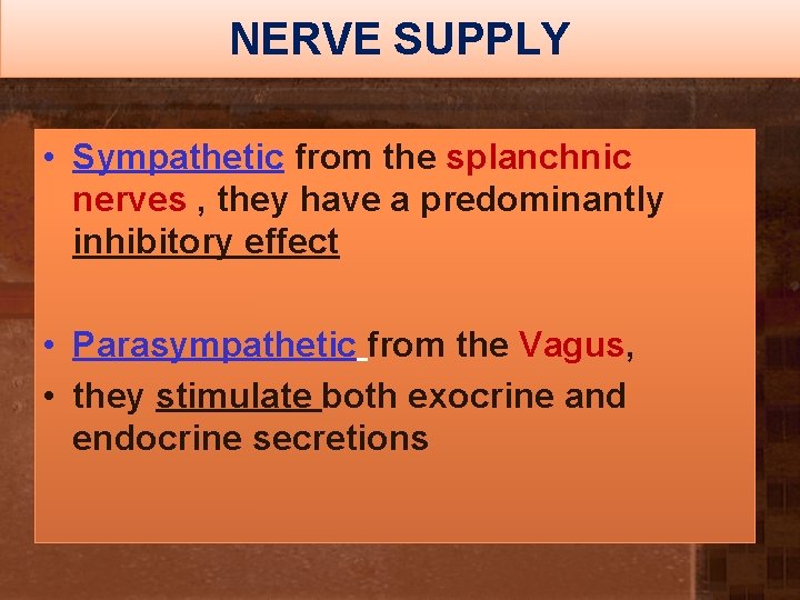 NERVE SUPPLY • Sympathetic from the splanchnic nerves , they have a predominantly inhibitory