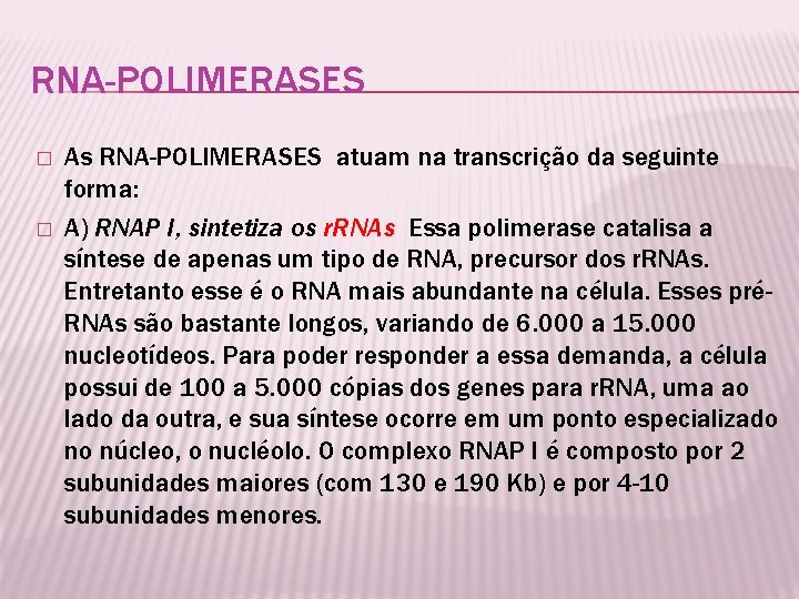 RNA-POLIMERASES � � As RNA-POLIMERASES atuam na transcrição da seguinte forma: A) RNAP I,