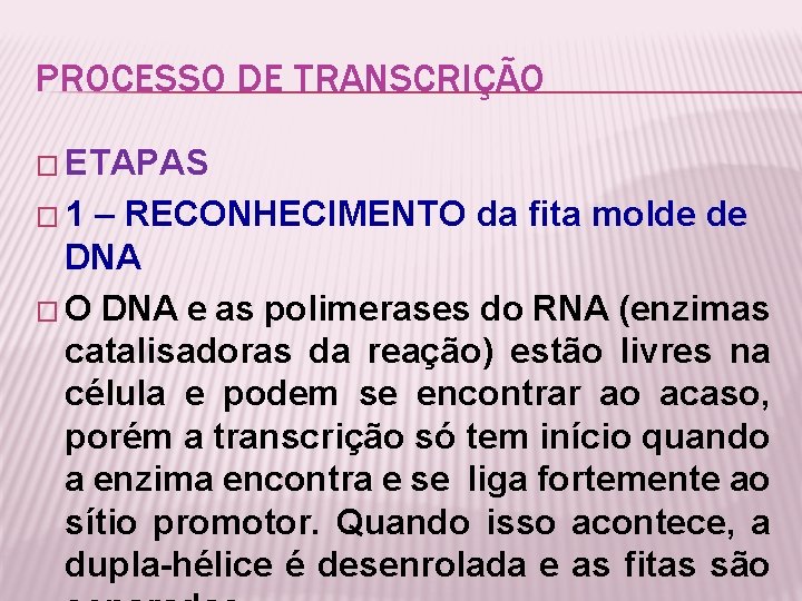 PROCESSO DE TRANSCRIÇÃO � ETAPAS � 1 – RECONHECIMENTO da fita molde de DNA