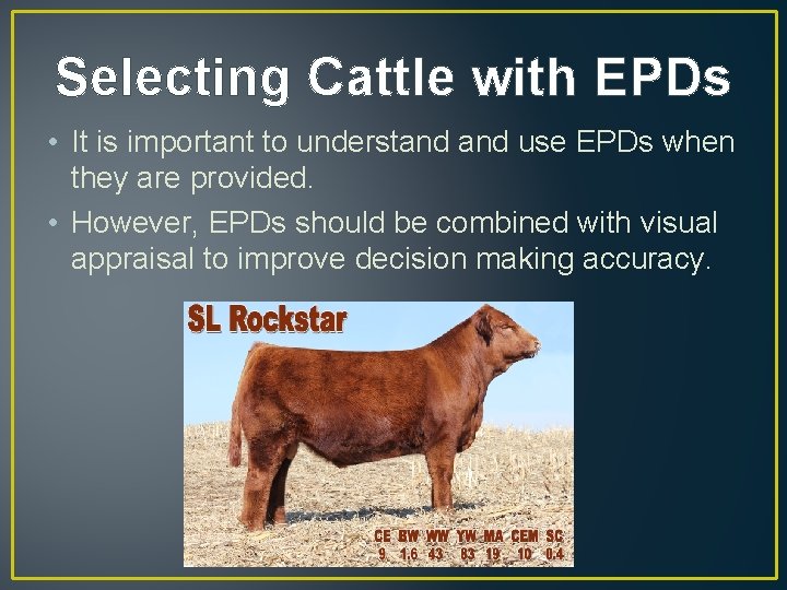 Selecting Cattle with EPDs • It is important to understand use EPDs when they
