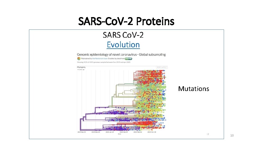 SARS-Co. V-2 Proteins Mutations 10 