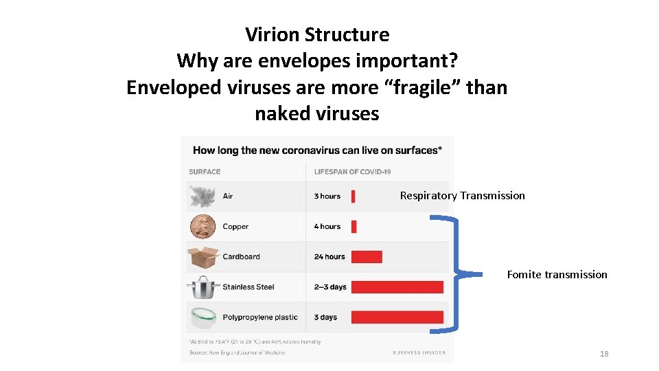 Virion Structure Why are envelopes important? Enveloped viruses are more “fragile” than naked viruses