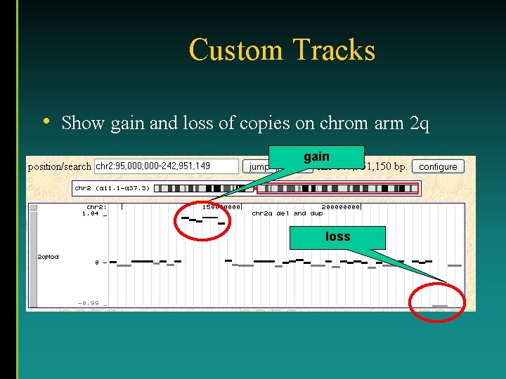 Custom Tracks • Show gain and loss of copies on chrom arm 2 q