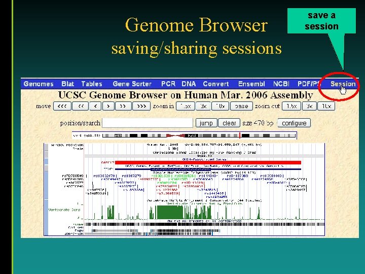 Genome Browser saving/sharing sessions save a session 