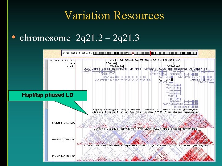 Variation Resources • chromosome 2 q 21. 2 – 2 q 21. 3 Hap.