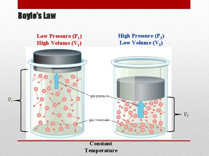 Boyle’s Law High Pressure (P 2) Low Volume (V 2) Low Pressure (P 1)