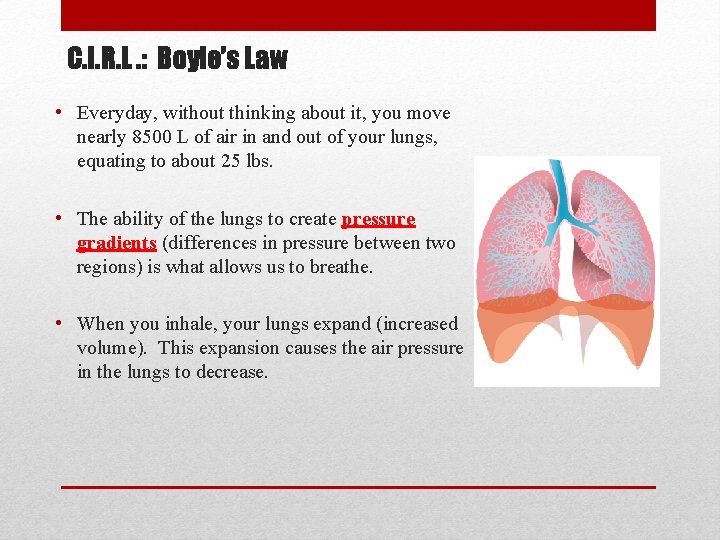 C. I. R. L. : Boyle’s Law • Everyday, without thinking about it, you