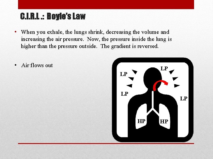 C. I. R. L. : Boyle’s Law • When you exhale, the lungs shrink,