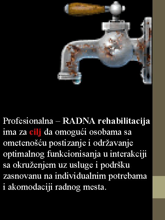 Profesionalna – RADNA rehabilitacija ima za cilj da omogući osobama sa ometenošću postizanje i