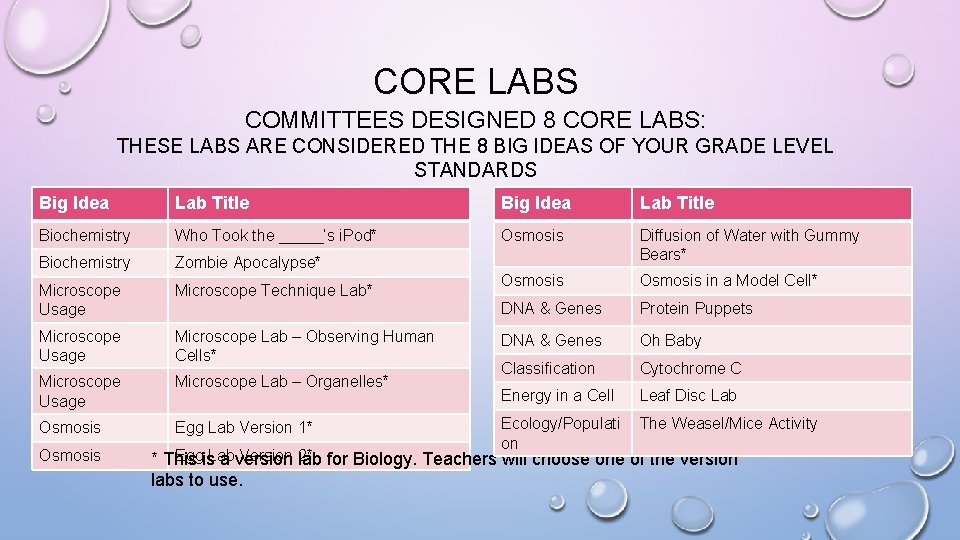 CORE LABS COMMITTEES DESIGNED 8 CORE LABS: THESE LABS ARE CONSIDERED THE 8 BIG