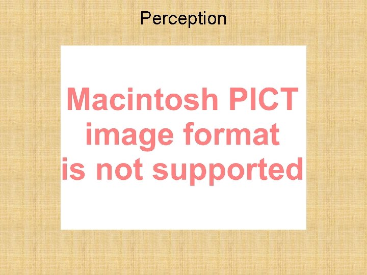 Perception 