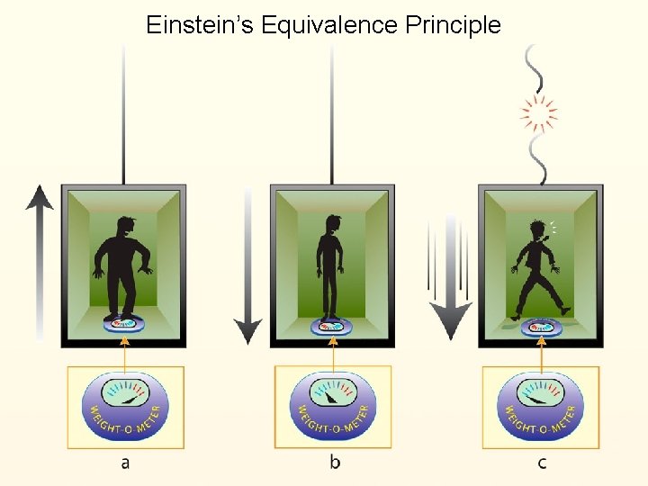 Einstein’s Equivalence Principle 