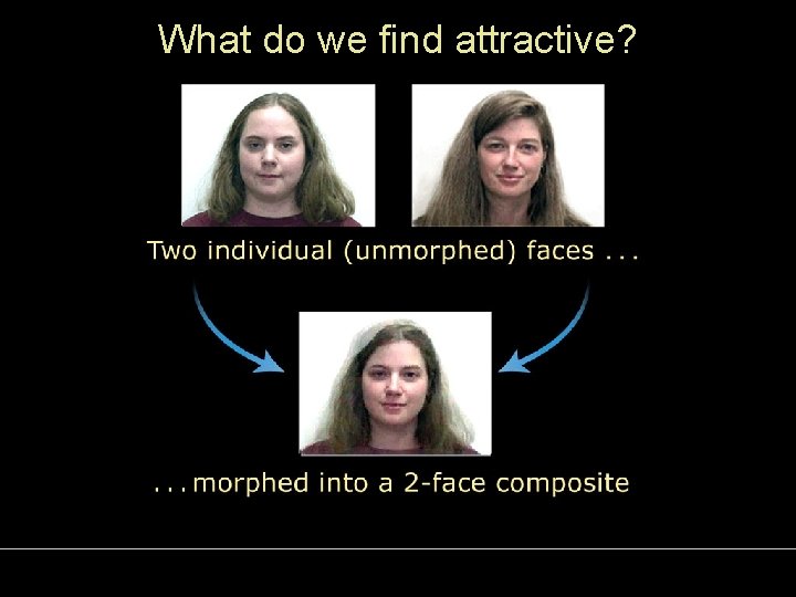 What do we find attractive? 
