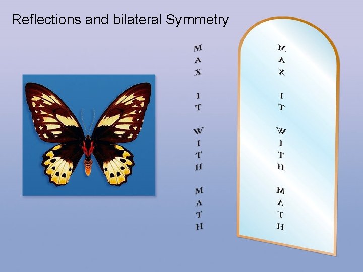 Reflections and bilateral Symmetry 