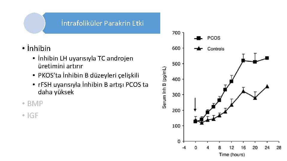 İntrafoliküler Parakrin Etki • İnhibin LH uyarısıyla TC androjen üretimini artırır • PKOS’ta İnhibin