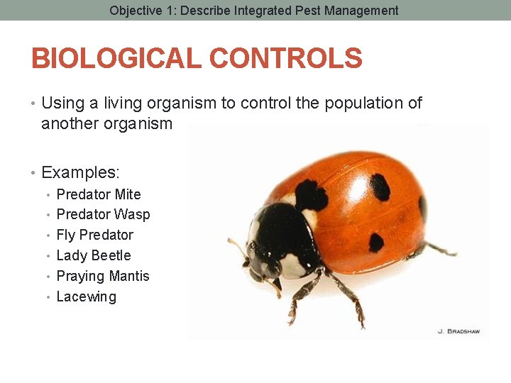 Objective 1: Describe Integrated Pest Management BIOLOGICAL CONTROLS • Using a living organism to