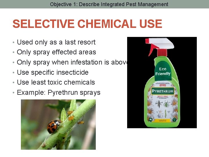 Objective 1: Describe Integrated Pest Management SELECTIVE CHEMICAL USE • Used only as a