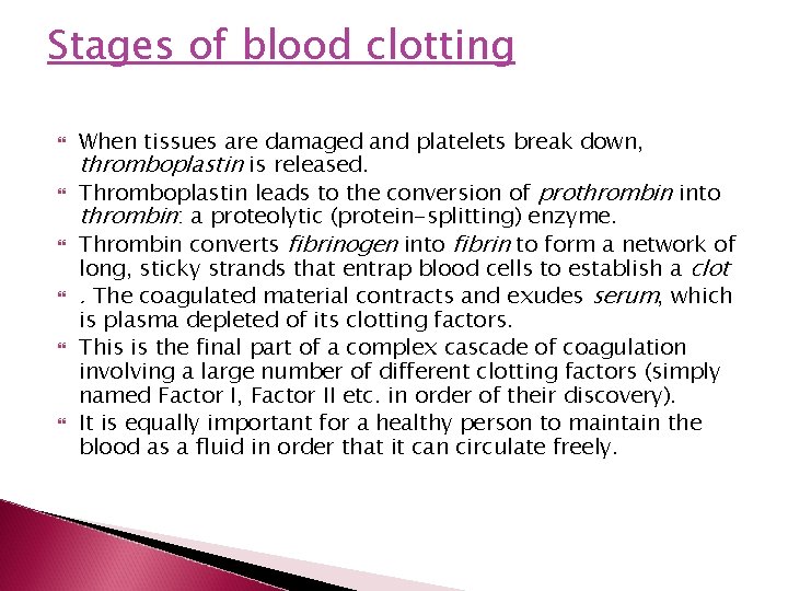 Stages of blood clotting When tissues are damaged and platelets break down, thromboplastin is