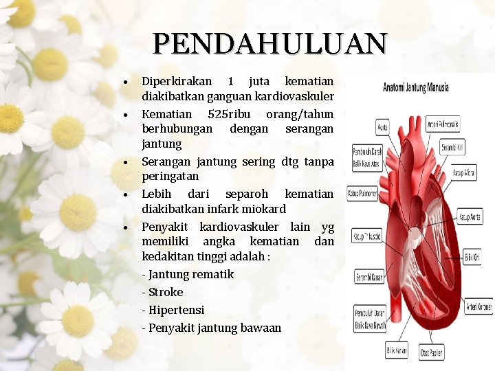 PENDAHULUAN • • • Diperkirakan 1 juta kematian diakibatkan ganguan kardiovaskuler Kematian 525 ribu