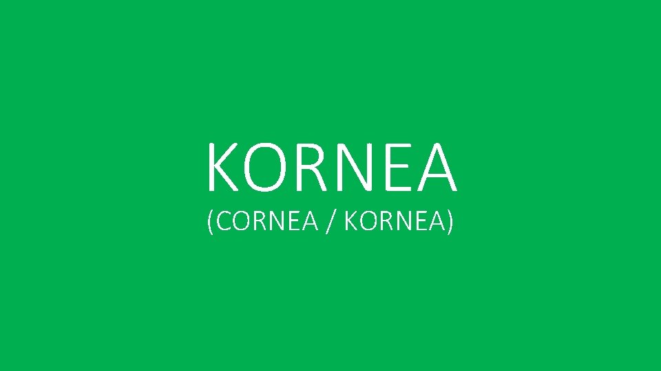 KORNEA (CORNEA / KORNEA) 