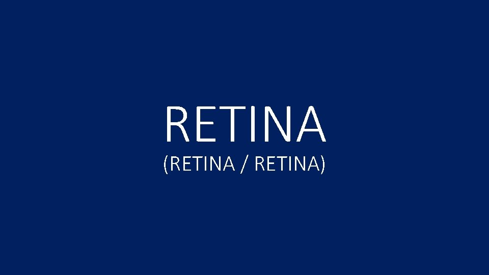 RETINA (RETINA / RETINA) 