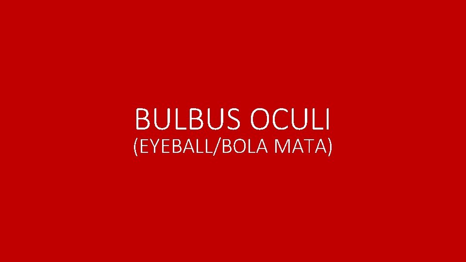BULBUS OCULI (EYEBALL/BOLA MATA) 